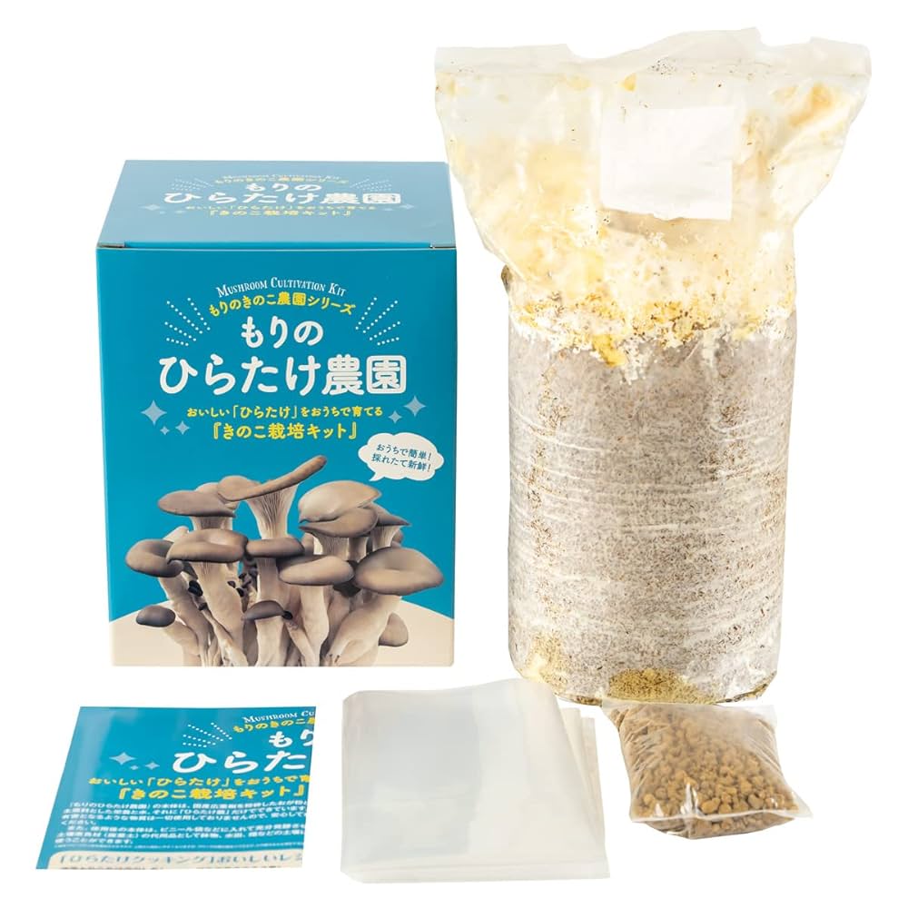 森のきの子様×4 Amazon.co.jp: 森のきのこ倶楽部 もりのしいたけ農園 栽培キット